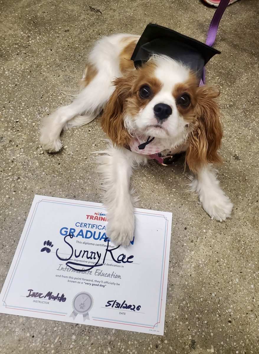 Sunny Rae when she graduated from her intermediate level training class. (Photo Credit: Ms. Warren)